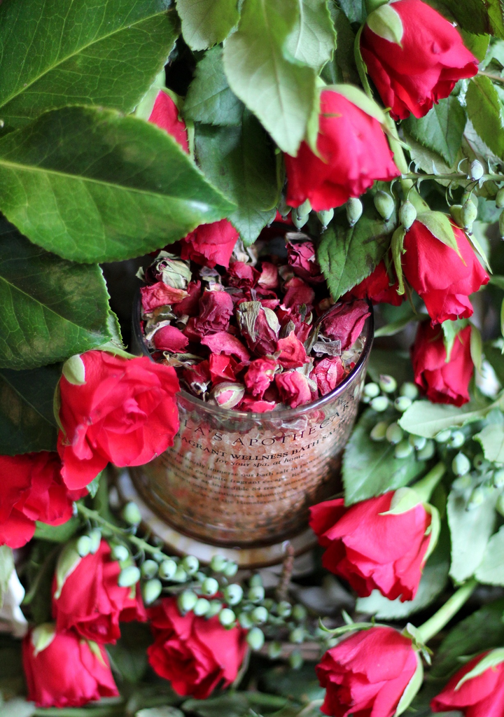 Delicate Romance Balancing Bath Salts